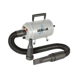 AEOLIAN BLASTER SINGLE MOTOR DRYER