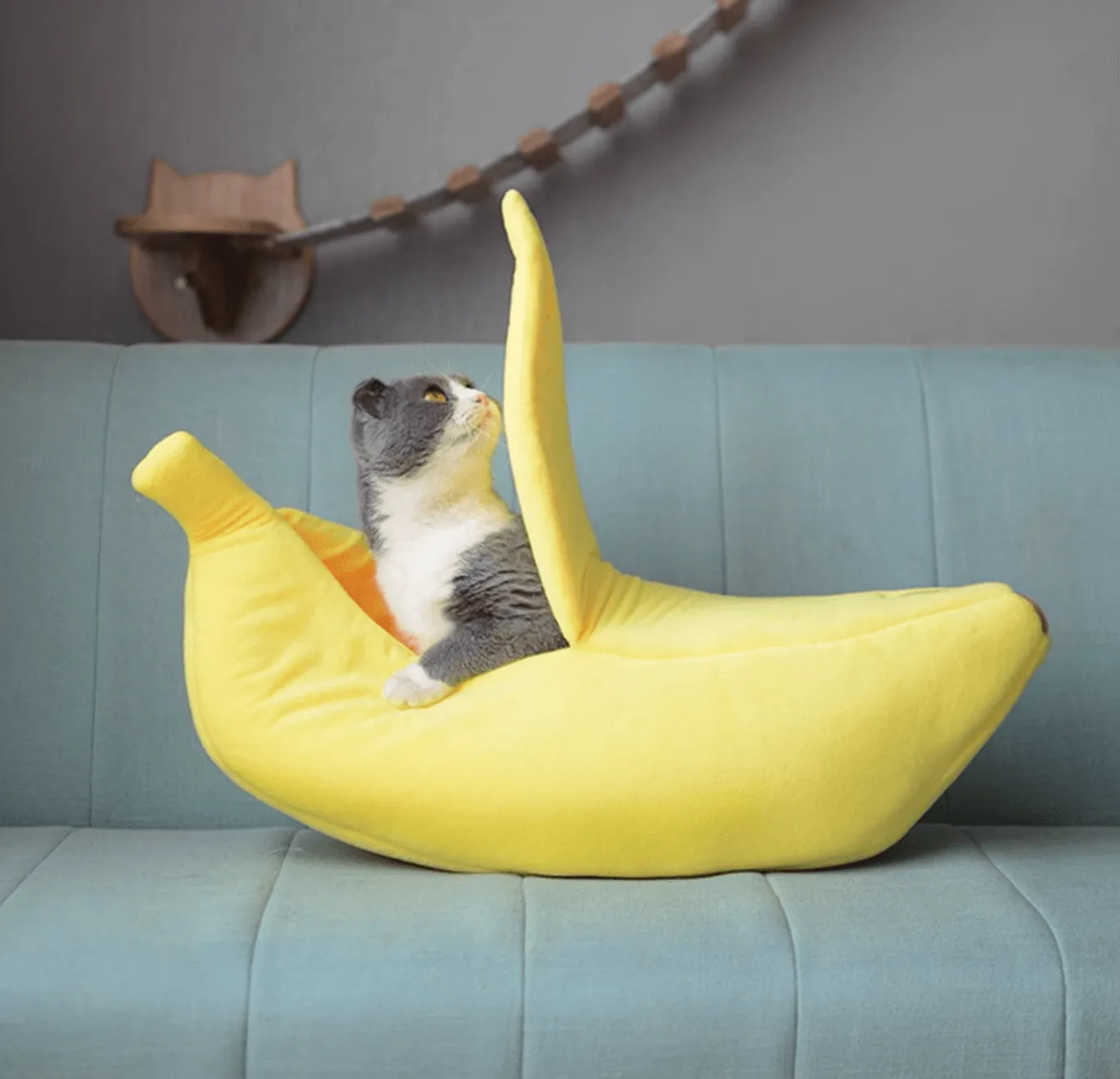 Banana Bed For Cats with Green Pink and Yellow