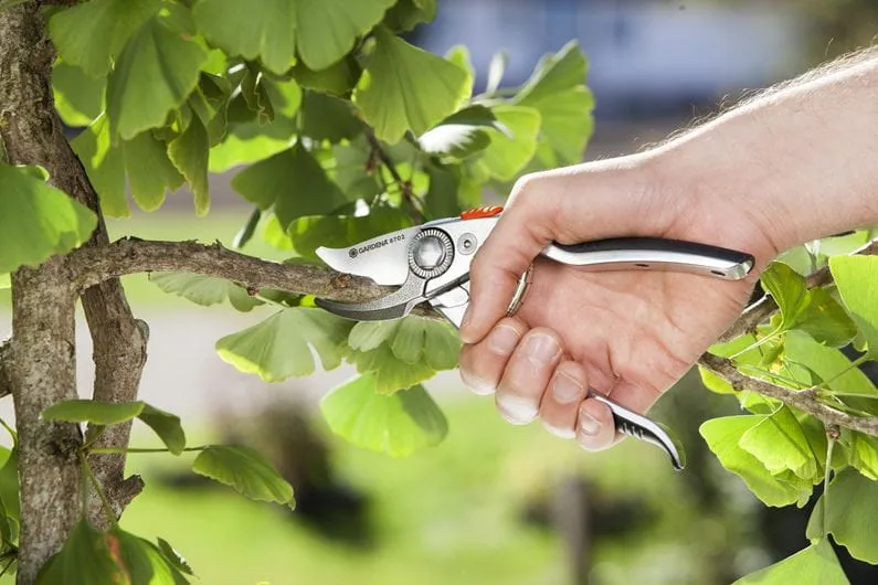 Gardena Secateurs B /L Premium